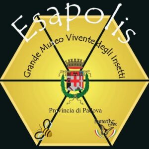 cropped-logo-esapolis-green-back.jpg