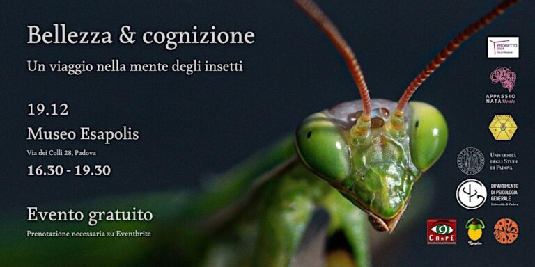 Bellezza & Cognizione – un viaggio nella mente degli insetti