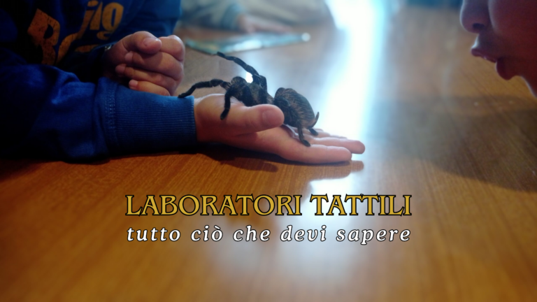 Laboratori tattili – informazioni